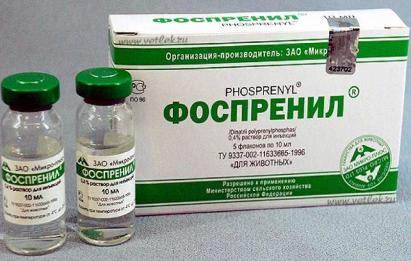 Фоспренил для собак: инструкция по применению и отзывы владельцев