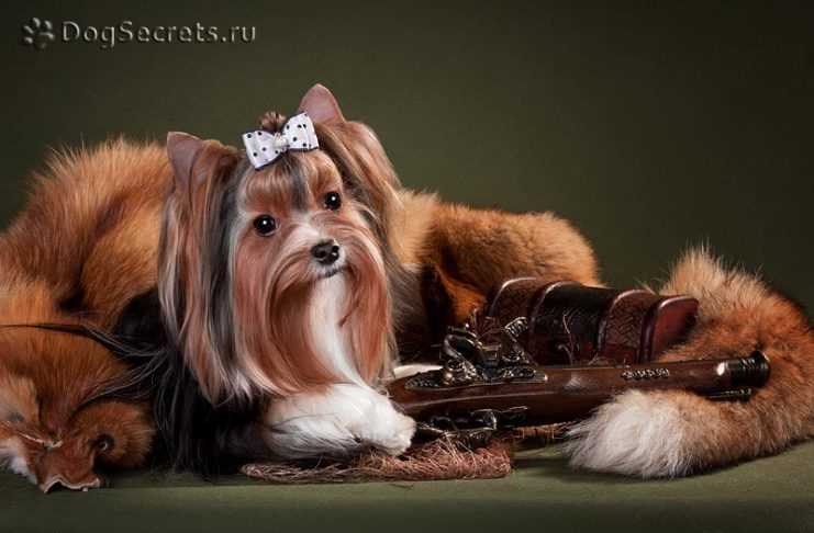 Проверка характера