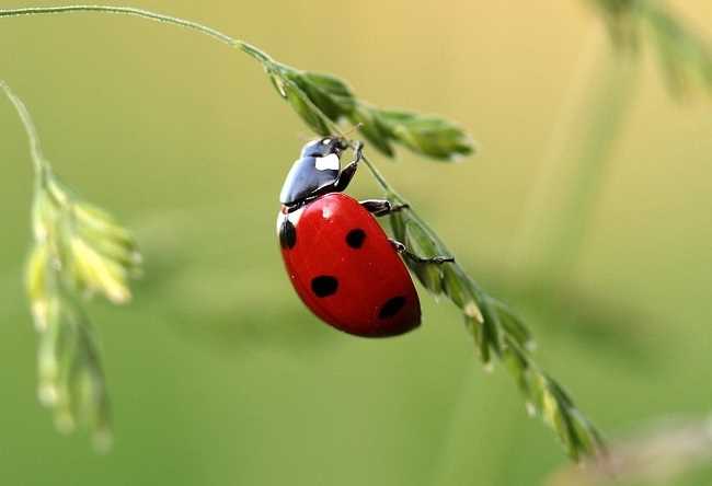 Подготовка к фотосъемке
