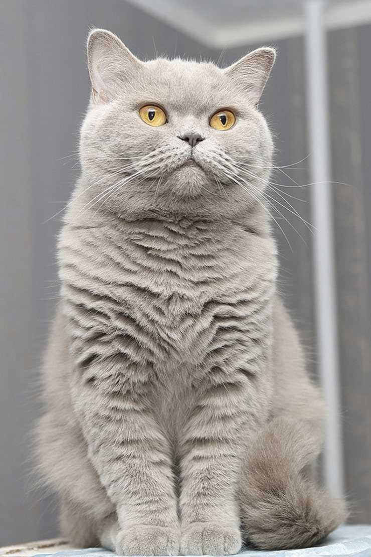 Как выбрать идеальное место для съемки