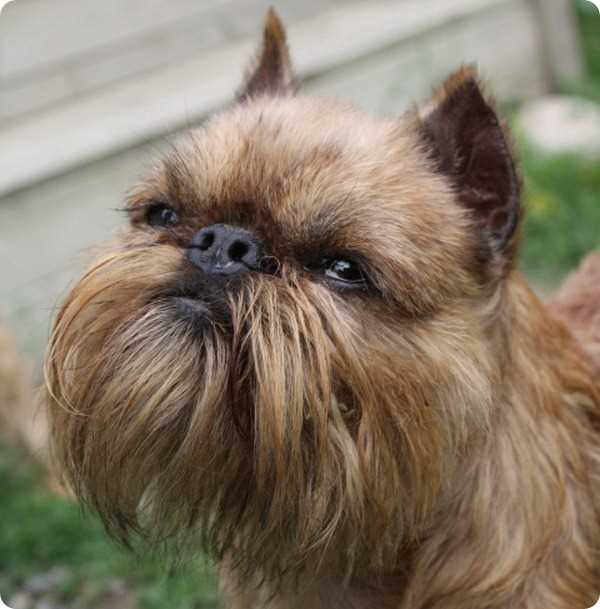 Тренировки и занятия