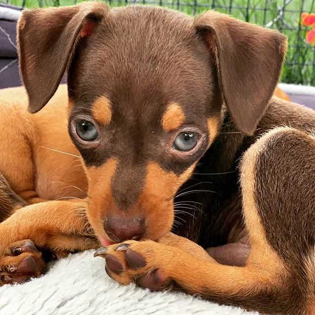 Прос и контрас сожительства