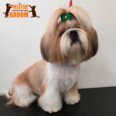 Как улучшить эмоциональную составляющую фото