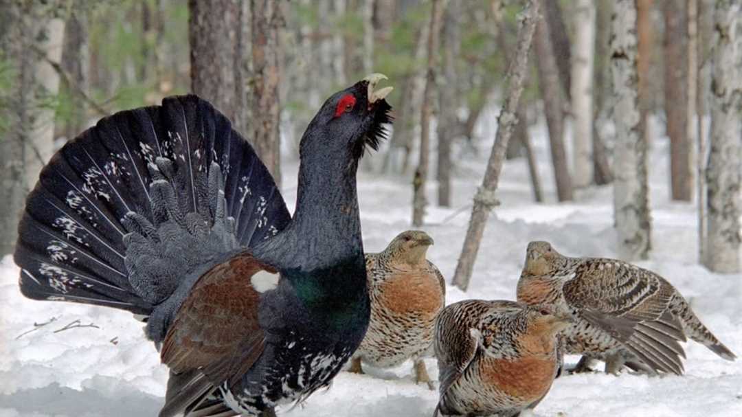 Сезонная активность