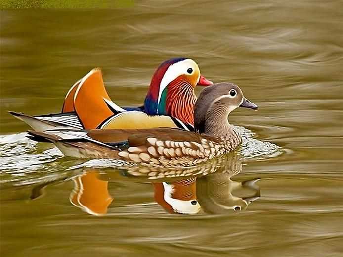 Япония: остров Хоккайдо