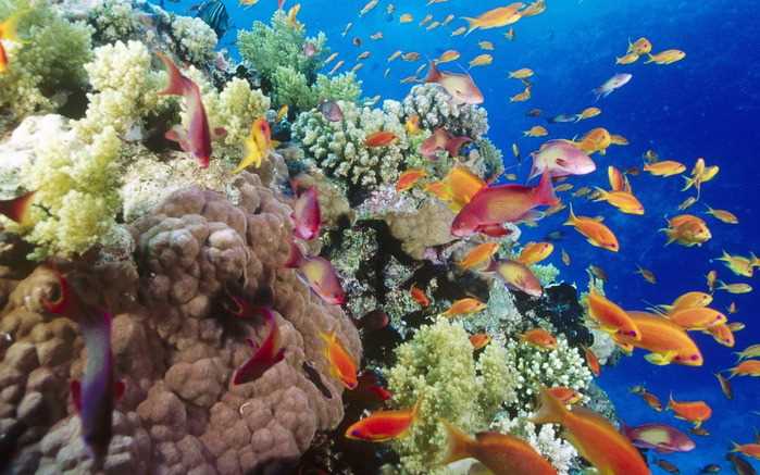 Разные оттенки воды в разных местах моря