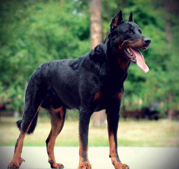 Заключение