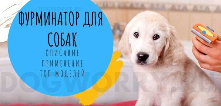 Фурминатор для собак: выбор и использование