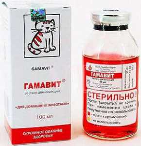 Гамавит инструкция по применению: как правильно применять препарат?