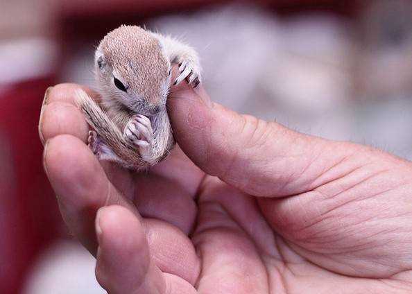 Скалистые берега