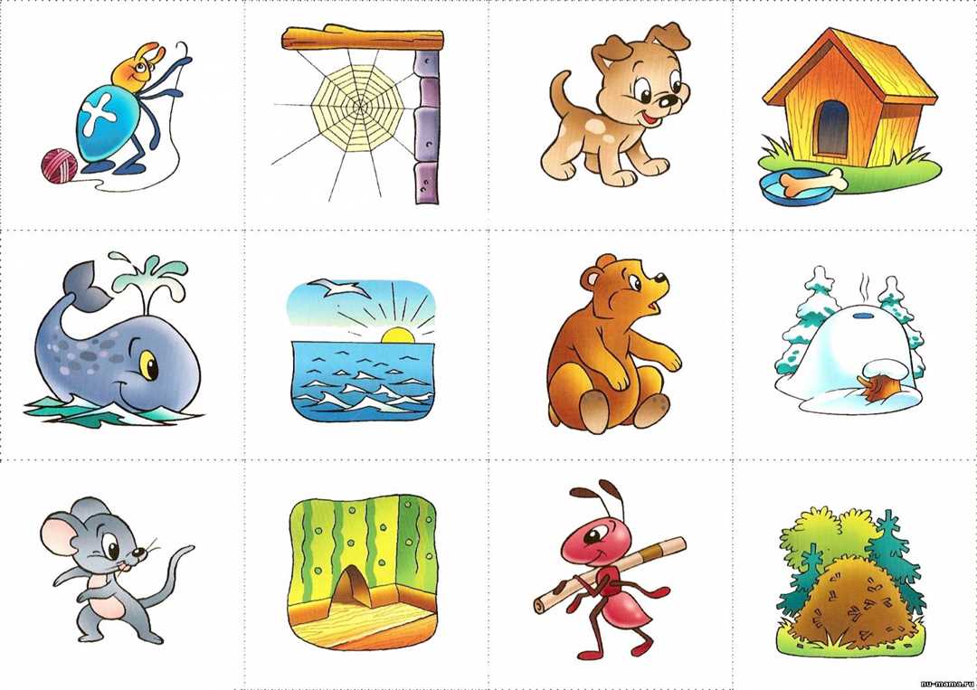 Где живут животные Где живут животные