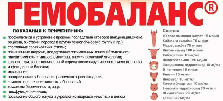 Что такое Гемобаланс и как он работает