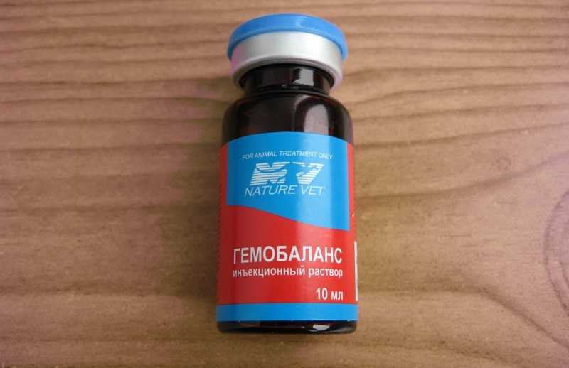 Гемобаланс для собак: инструкция по применению, отзывы владельцев, цена в России