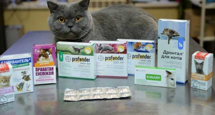 Как не нарушить дозировку глистогонного?