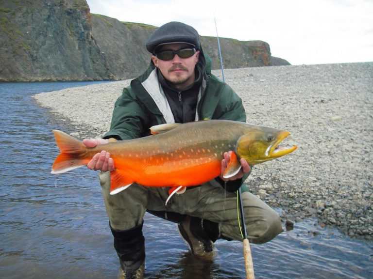 Места нереста гольца