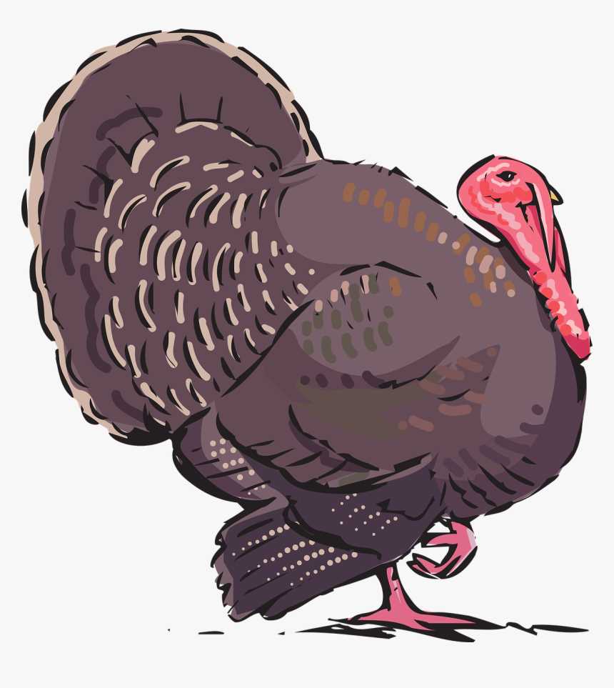 Индейка и индюшка - в чем разница?