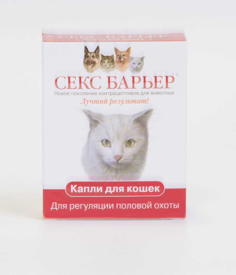 Котиком инструкция