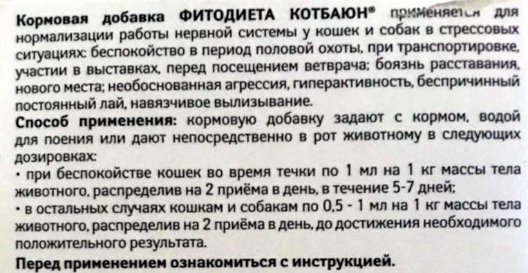 Почему стоит выбрать кота Баюн?