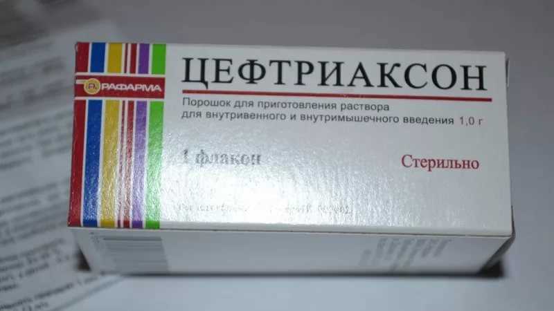 Инструкция по применению Адвантидж для кошек: все преимущества и рекомендации