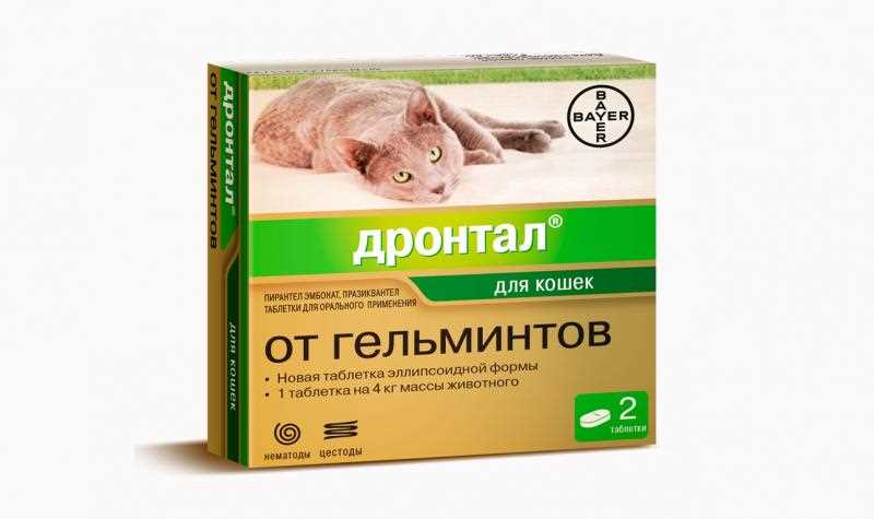 Инструкция по применению Дронтала для кошек
