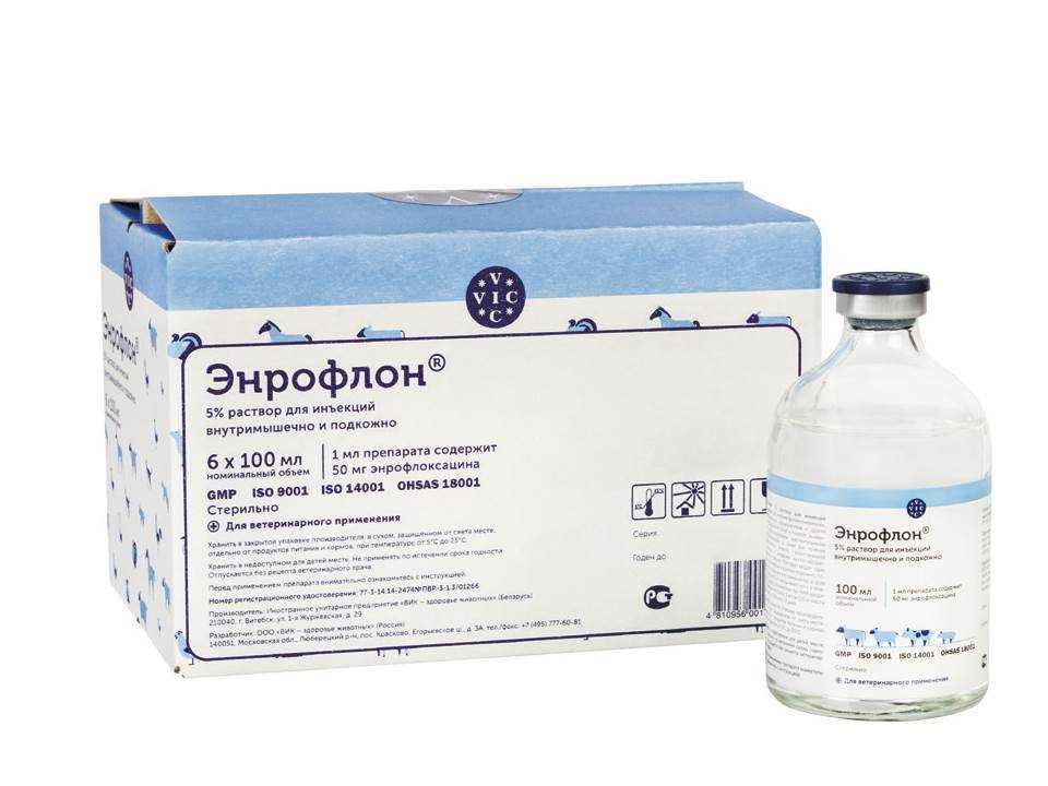 Инструкция по применению Энрофлон для птиц: дозы, способы применения, противопоказания Инструкция по применению Энрофлон для птиц: дозы, способы применения, противопоказания