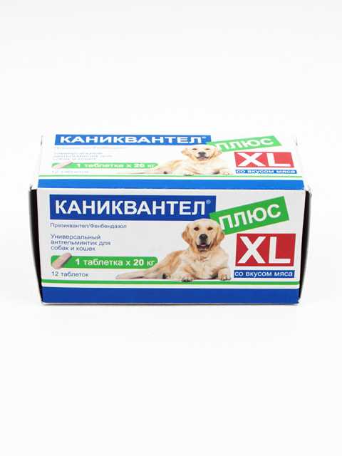 Euracon Pharma каниквантел плюс для собак и кошек. Таблетки от глистов для кошек каниквантел. Каниквантел плюс для кошек 1таб 624мг. Каниквантел плюс XL (Euracon Pharma) от гельминтов для собак и кошек, 60 таб..