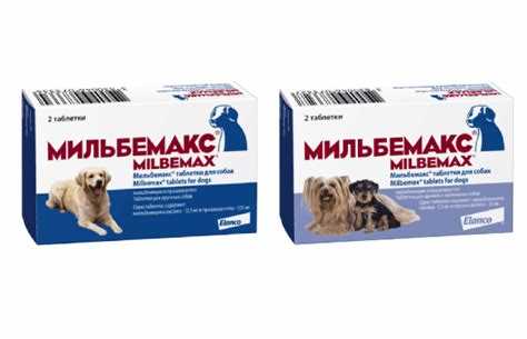 Инструкция по применению Мильбемакс для собак - советы и рекомендации