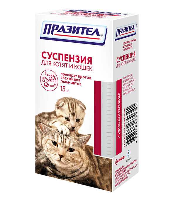 Инструкция по применению празител суспензии для кошек и котят Инструкция по применению празител суспензии для кошек и котят