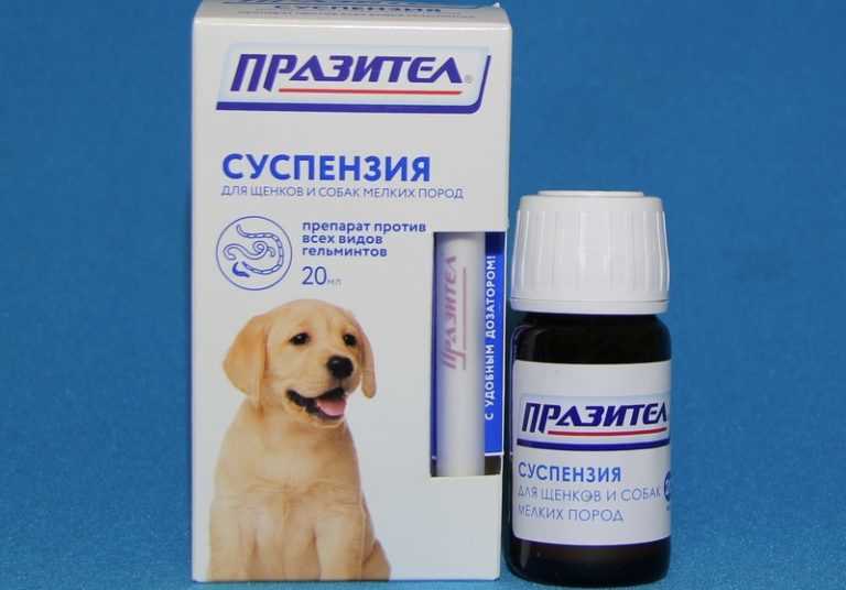 Как применять празител суспензию для взрослых кошек?