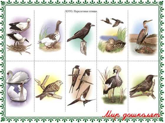 Навигация и ориентация