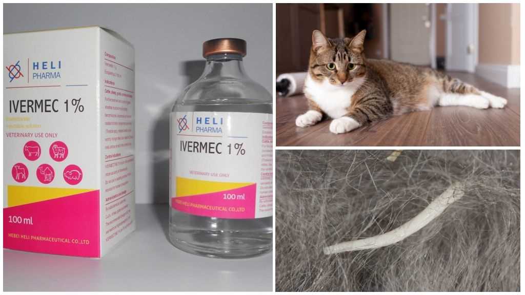 Побочные эффекты и противопоказания