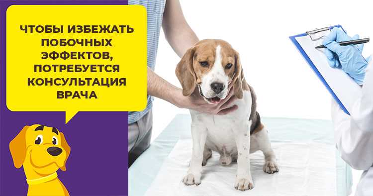 Альтернативы усыплению