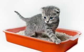 Отсутствие постоянства