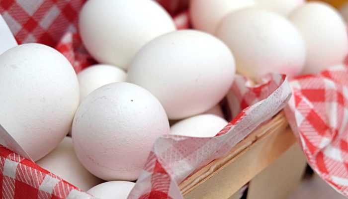 Как долго можно хранить яйца в холодильнике: сроки и правила Как долго можно хранить яйца в холодильнике: сроки и правила