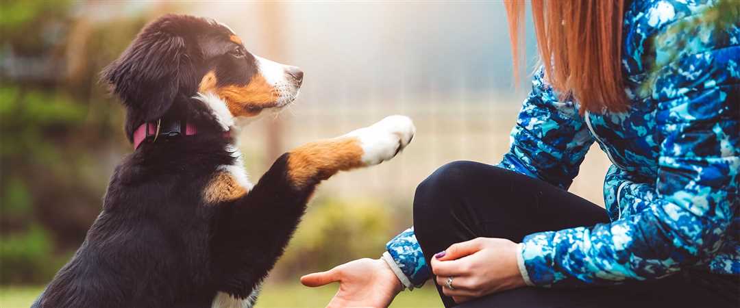 Обучение поведению