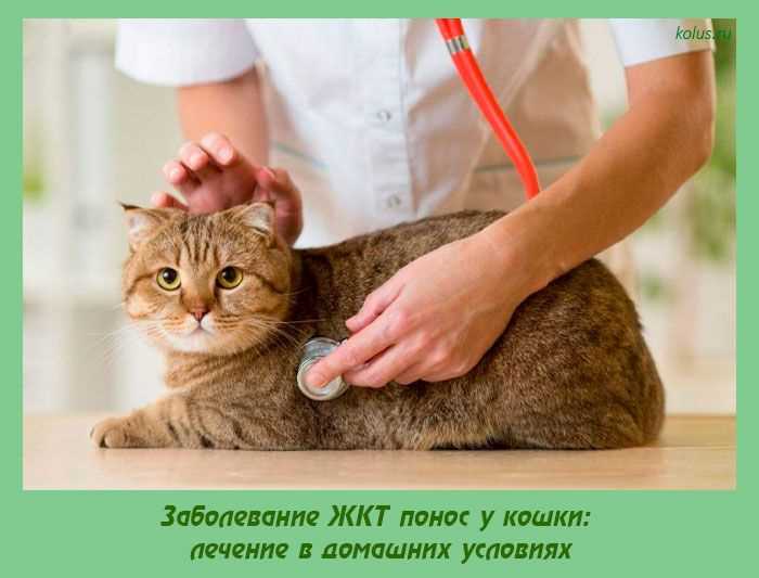 Стрессовые ситуации