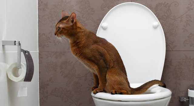 Что делать при неудачах?