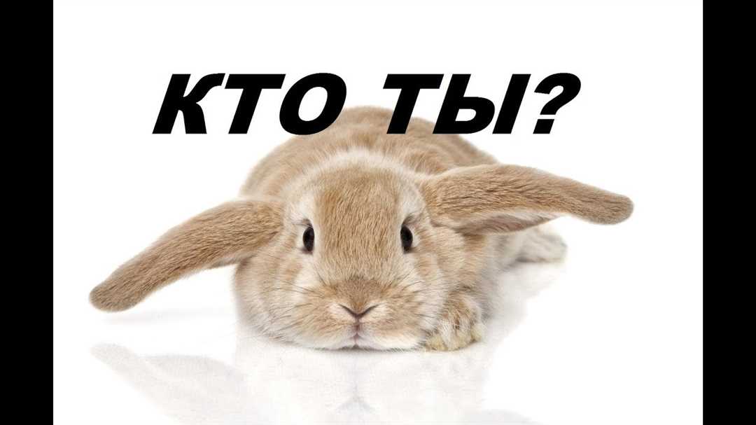 Визуальный осмотр в сочетании с пальпацией