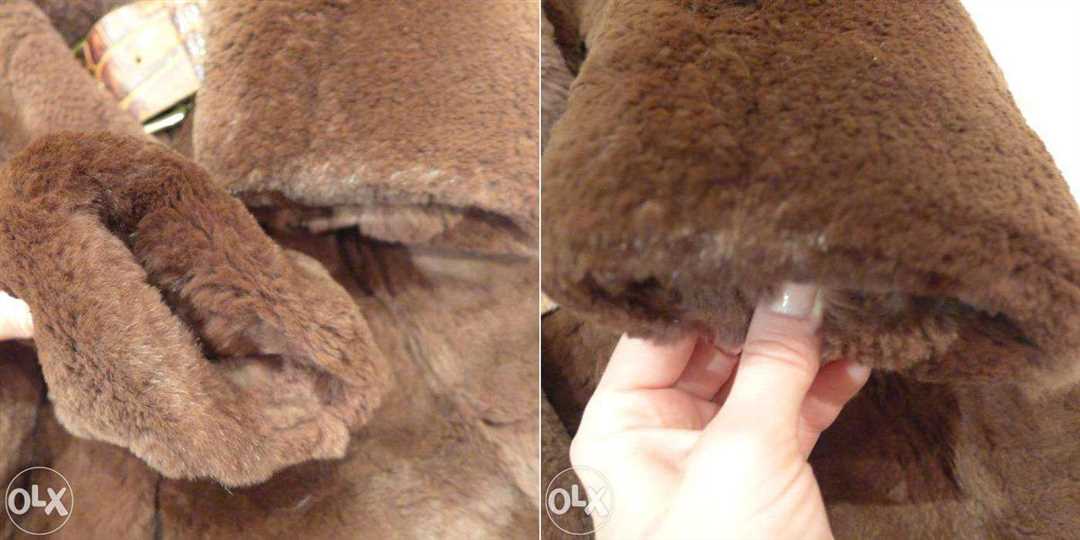 Место обитания