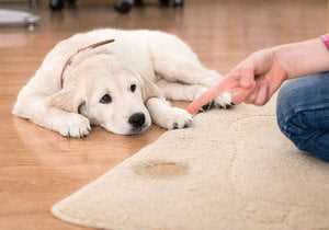 Понимание причин: