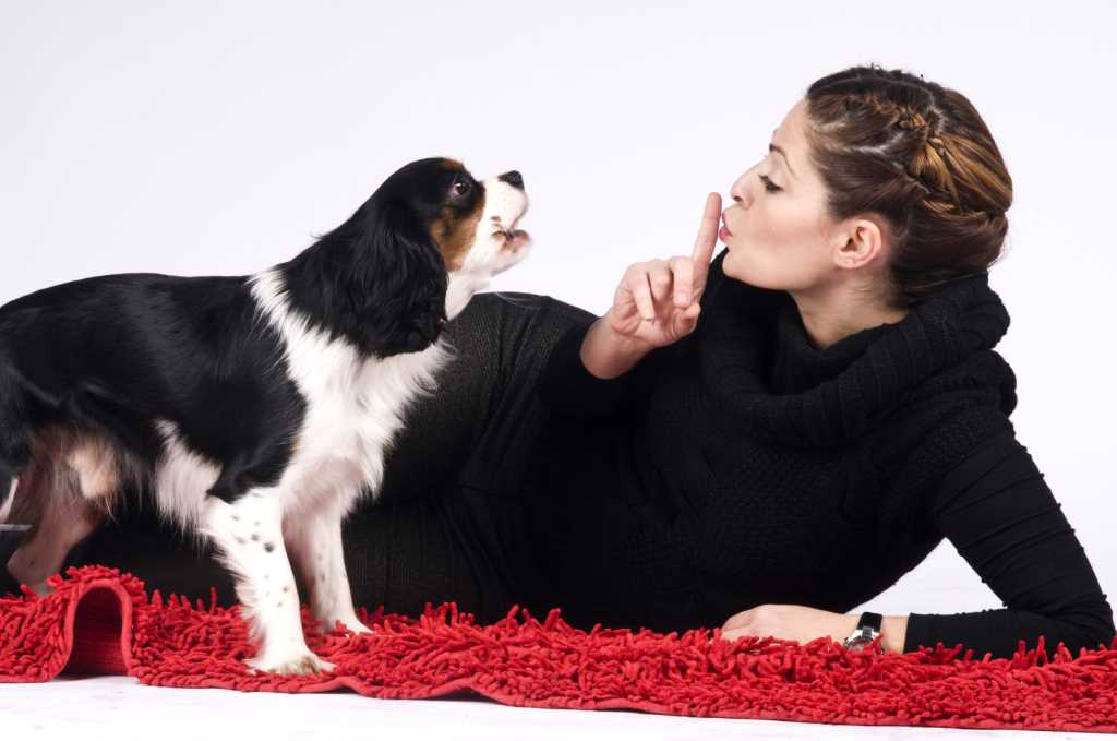 Постепенный уход от домашнего горшка