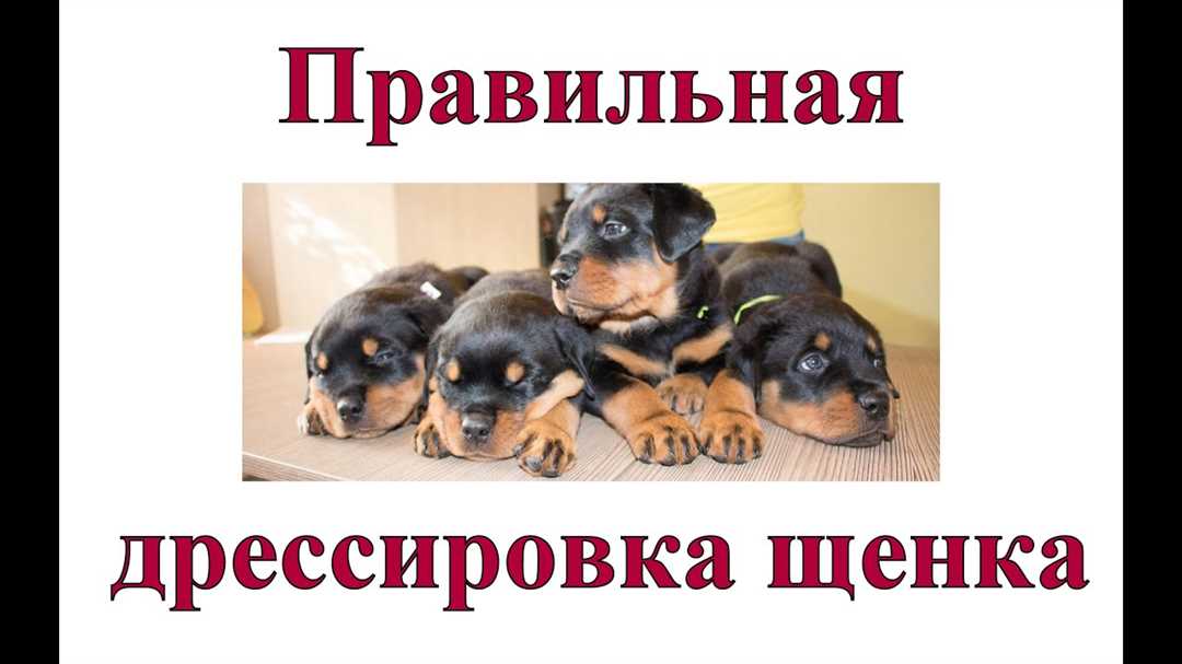 Кормление и режим дня