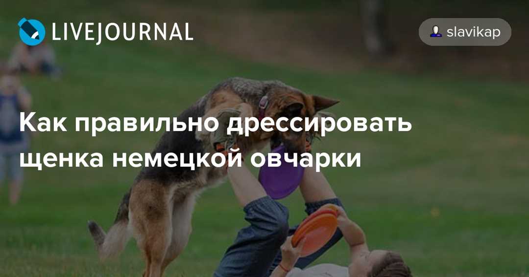 Тренировка в разных условиях