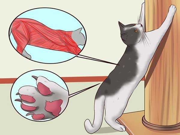 Почему это важно