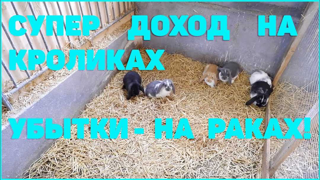 Выбор самок для покрытия