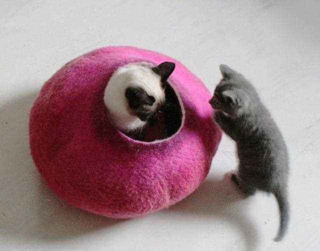 Как самостоятельно сделать игрушку для котенка: идеи и инструкции Как самостоятельно сделать игрушку для котенка: идеи и инструкции