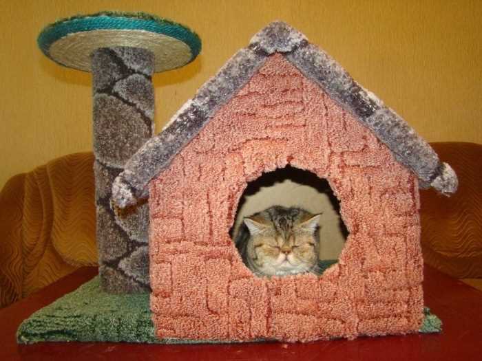 Как сделать домик для кошки своими руками. Подробная инструкция и полезные советы Как сделать домик для кошки своими руками. Подробная инструкция и полезные советы