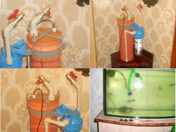 Как сделать фильтр для аквариума своими руками: пошаговая инструкция