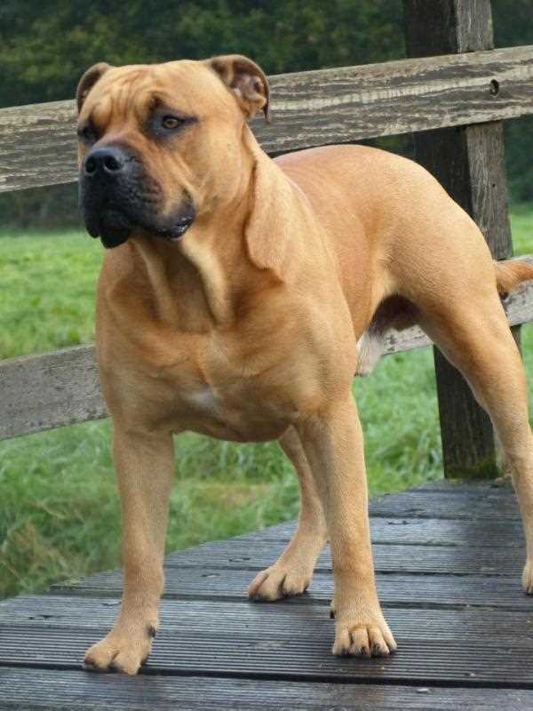 Примеры красивых фотографий ка де бо