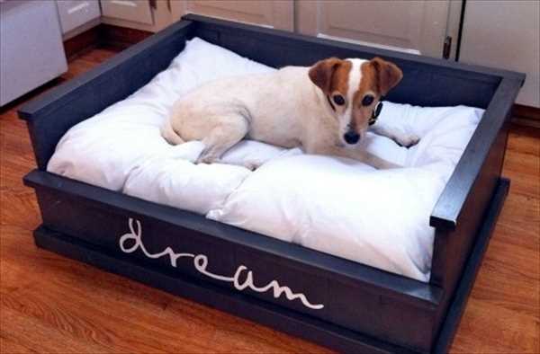 Советы по уходу за лежаком